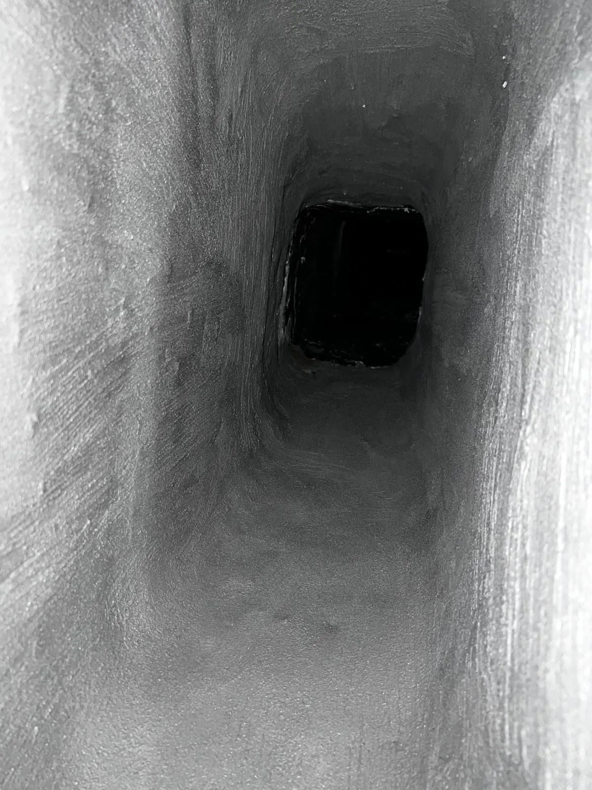 Chimney Inspection